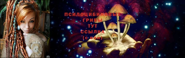 тгк Абдулино