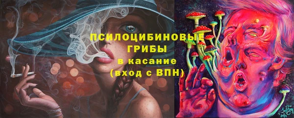 spice Абинск