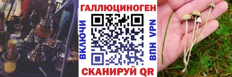 Псилоцибиновые грибы Magic Shrooms  наркота  Владикавказ 